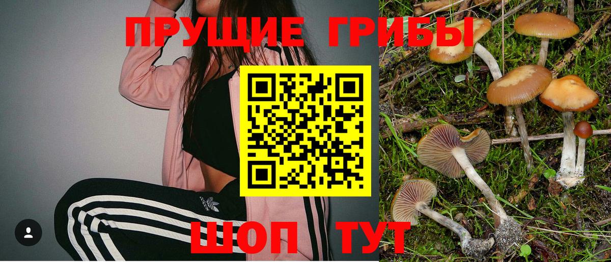 Галлюциногенные грибы GOLDEN TEACHER Крымск