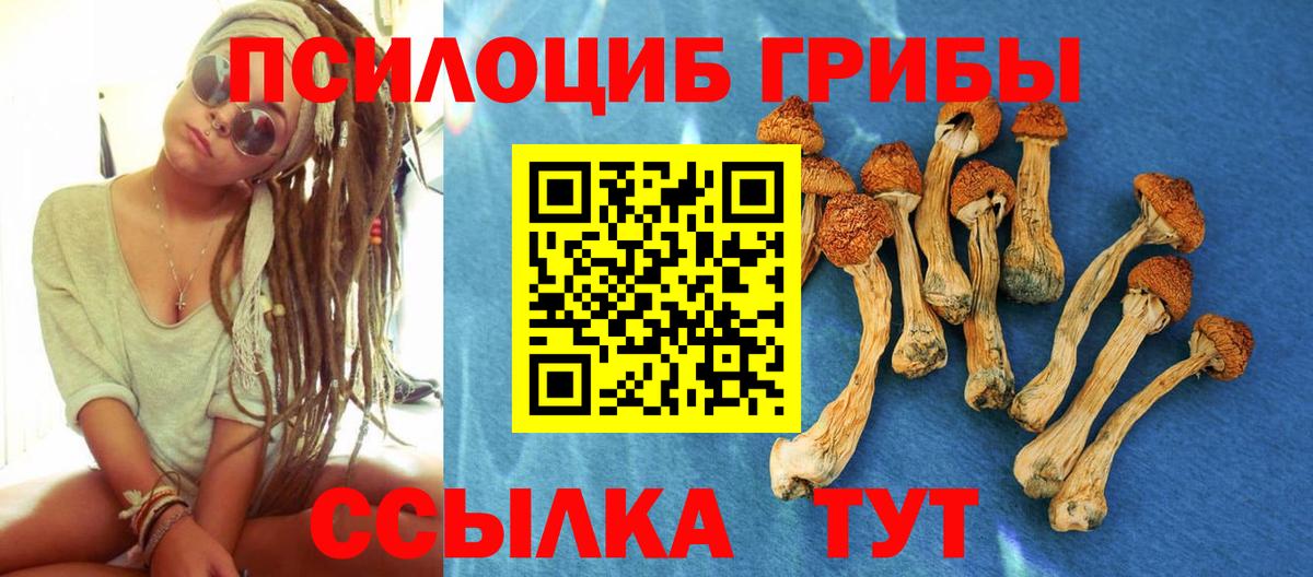 Галлюциногенные грибы MAGIC MUSHROOMS  Вход с VPN  Крымск 